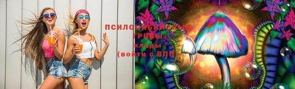 крисы Белоозёрский