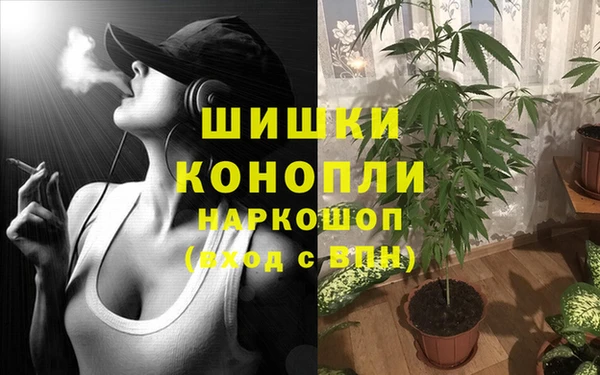 таблы Белокуриха