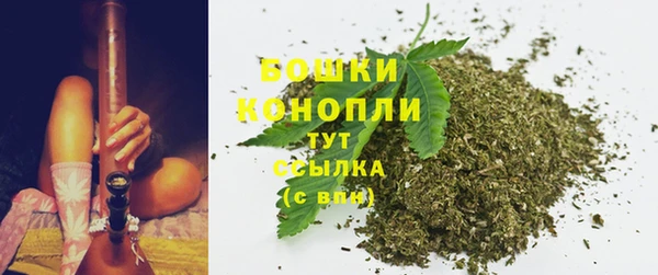крисы Белоозёрский