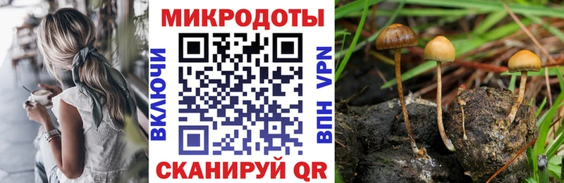 Псилоцибиновые грибы Cubensis  Верея 